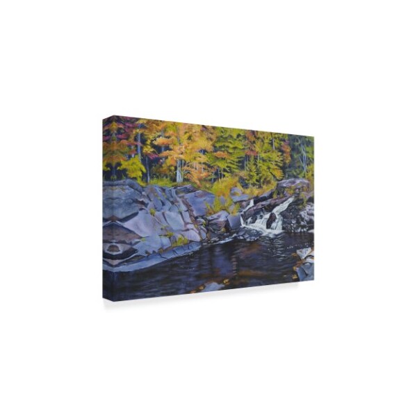Rusty Frentner 'Forest Stream' Canvas Art,16x24